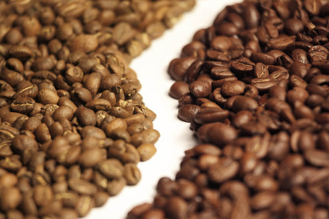Grains de café arabica et robusta comparés côte à côte