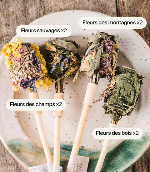8 bouquets à infuser bio Horae - Coffret infusion bio