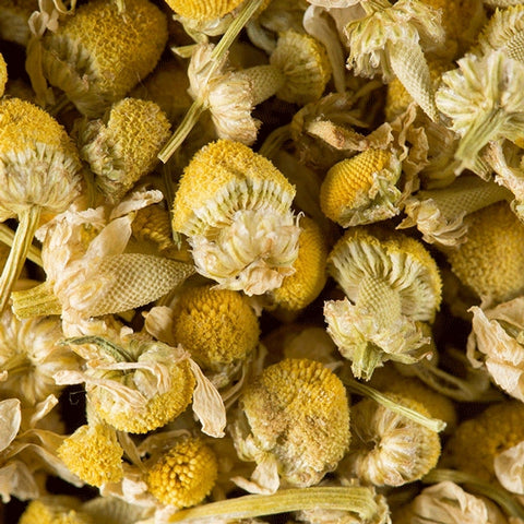 Camomille - Tisane 20 sachets