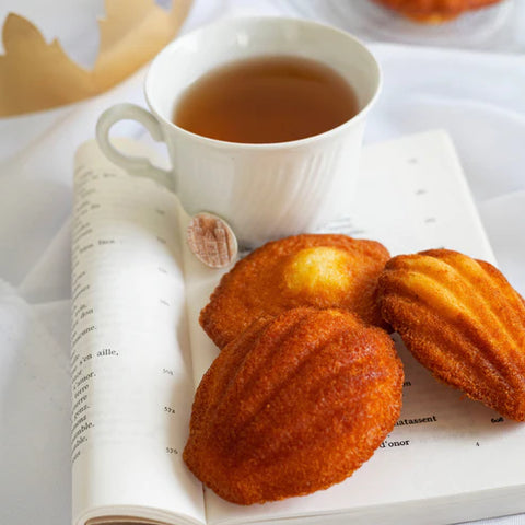 Madeleine des Rois frangipane - boîte de 10